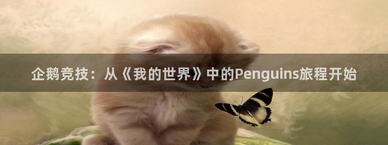 必赢电竞