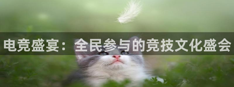 必赢电竞最新比赛