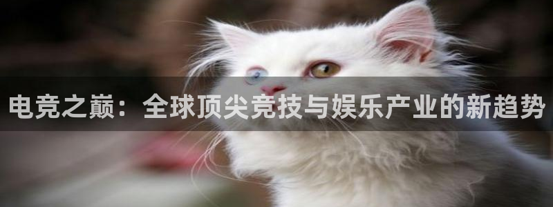 必赢电竞