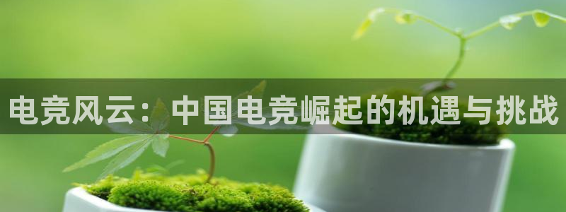 必赢电竞最新比赛