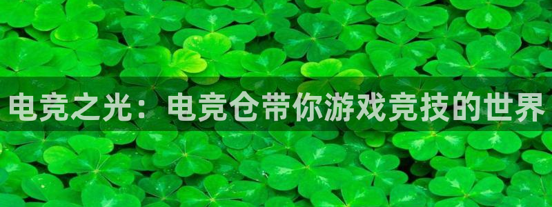 必赢电竞