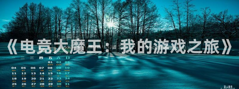 必赢电竞最新比赛：《电竞大魔王：我的游戏之旅》