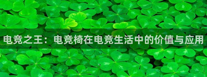 必赢电竞：电竞之王：电竞椅在电竞生活中的价值与应用