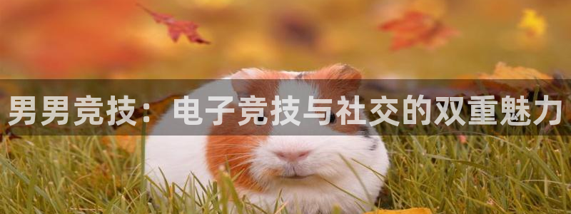 必赢电竞
